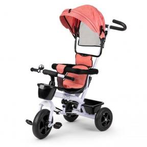 Tricicleta Ecotoys BW-212 - Roz